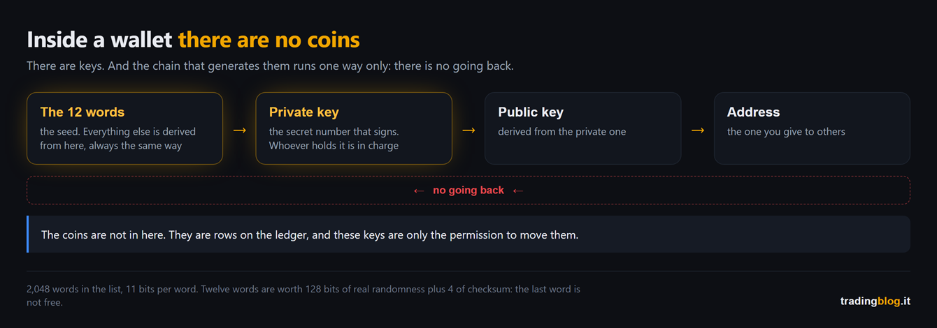 Four step chain starting from the twelve seed words and leading to the private key, then the public key and finally the address, with arrows running one way only and a warning that there is no going back, plus the note that the coins are not in the wallet but on the ledger