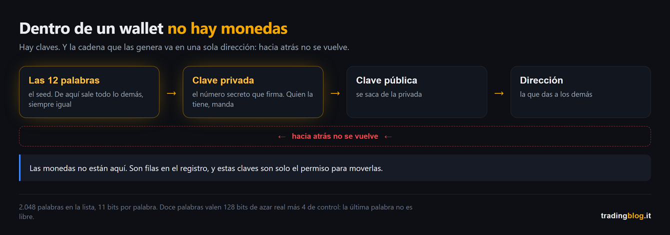 Cadena de cuatro pasos que parte de las doce palabras del seed y lleva a la clave privada, luego a la clave pública y por último a la dirección, con las flechas en un solo sentido y el aviso de que hacia atrás no se vuelve, más la aclaración de que las monedas no están en el wallet sino en el registro
