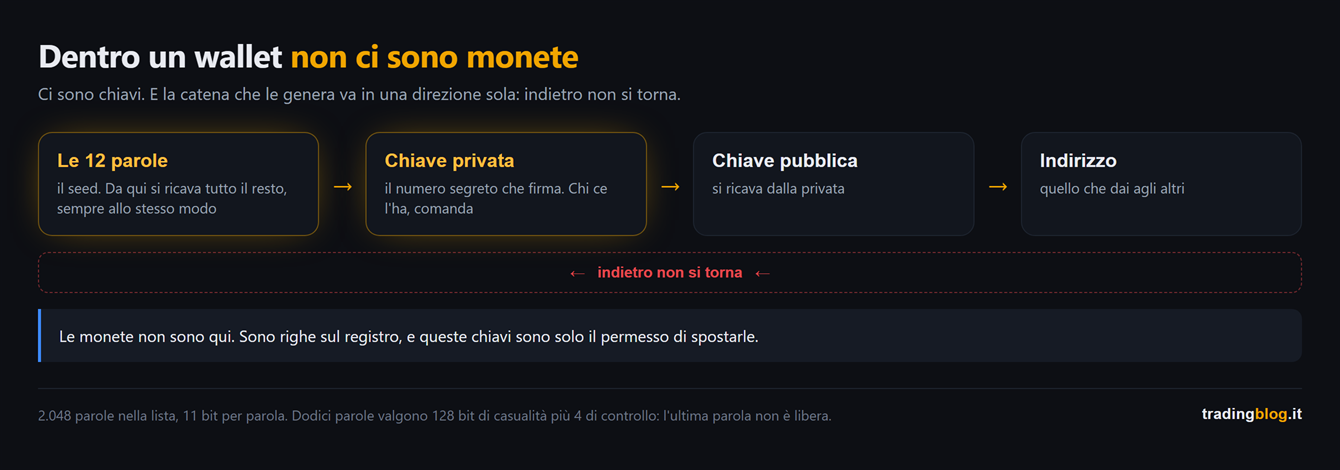 Catena in quattro passaggi che parte dalle dodici parole del seed e porta alla chiave privata, poi alla chiave pubblica e infine all'indirizzo, con le frecce che vanno in una sola direzione e l'avviso che indietro non si torna, più la precisazione che le monete non stanno nel wallet ma sul registro