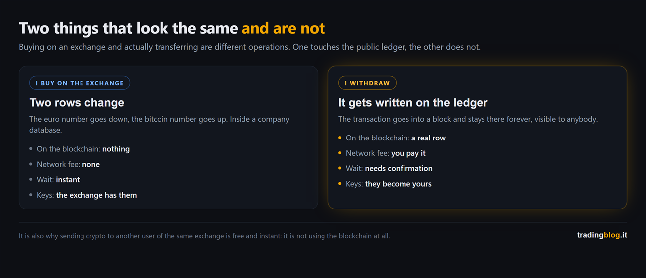 Comparison between buying on an exchange, where only two rows change in the company database without touching the blockchain, with no fee and no wait but the keys held by the exchange, and withdrawing, where the transaction is actually written on the public ledger, the network fee is paid, confirmation is needed and the keys become yours