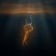 Una vieja llave dorada colgada como cebo de un anzuelo de acero, suspendida en el agua oscura con la luz ámbar que se filtra desde la superficie.