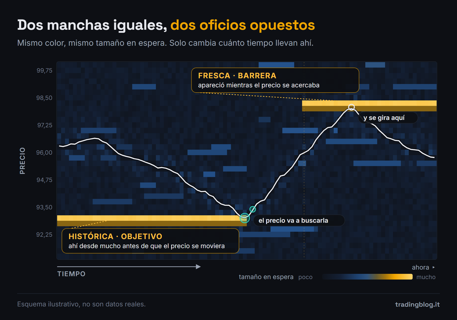 Heatmap de liquidez esquemático: una traza larga, presente desde mucho antes, actúa como objetivo y el precio va a buscarla. Una traza corta de la misma intensidad, aparecida mientras el precio se acercaba, actúa como barrera y el precio se gira ahí.